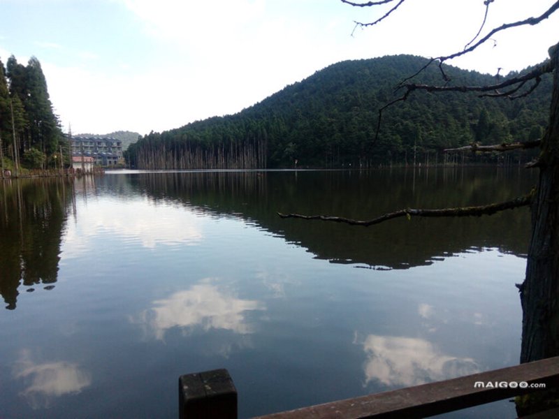 厦门出入境检验检疫局国际旅行卫生保健中心,为您保驾护航